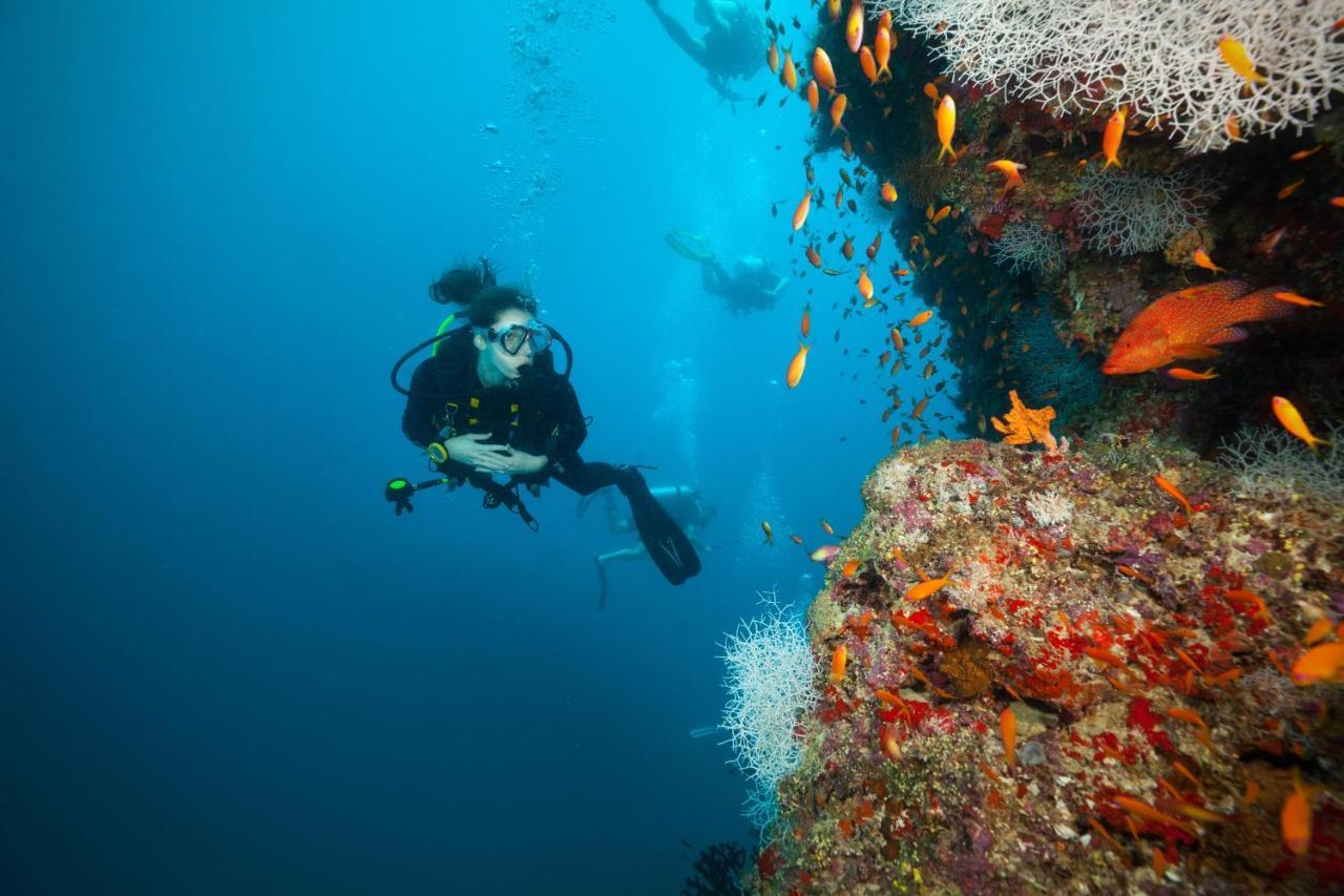 Ja Manafaru, Maldives Hotel Hoarafushi Luaran gambar